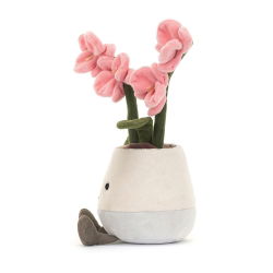 Amuseable Plante | Orchidée rose