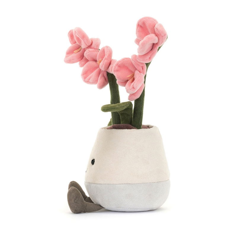 Amuseable Plante | Orchidée rose
