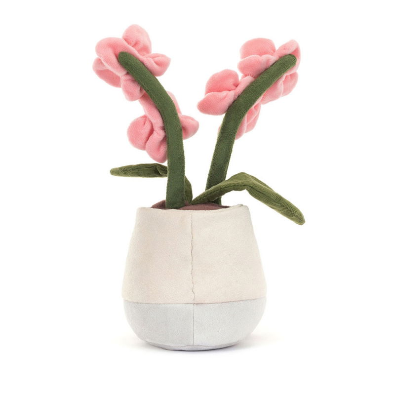 Amuseable Plante | Orchidée rose