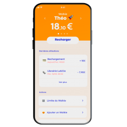Porte-monnaie sans contact Walkie | Glace