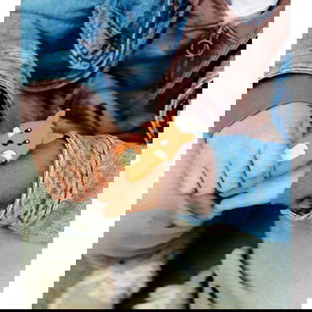 Porte-monnaie sans contact Walkie | Renard - Money Walkie