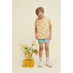Short Terry | Colorblock