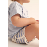 Short bébé rayures | Vert - Cozmo