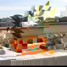 Vase Orange - Fluid Market