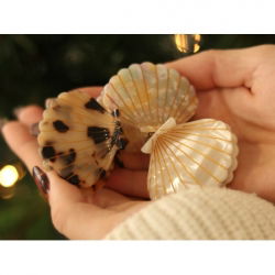 Pince à cheveux coquillage perle