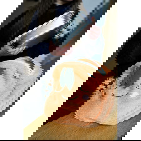 Boîte lunch | Légumes - The cotton cloud