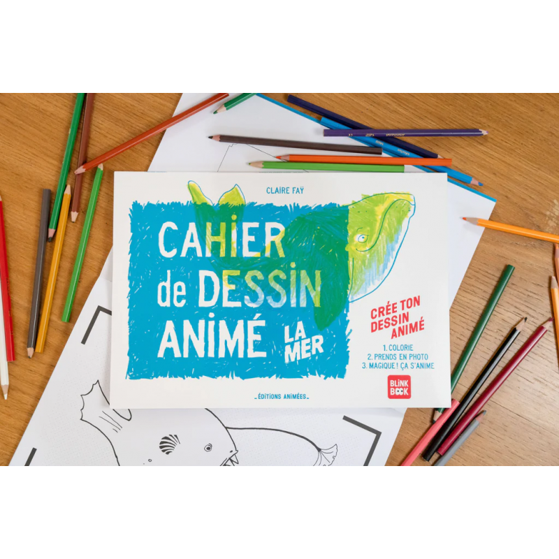 Cahier de dessin animé | Les princesses (copie)