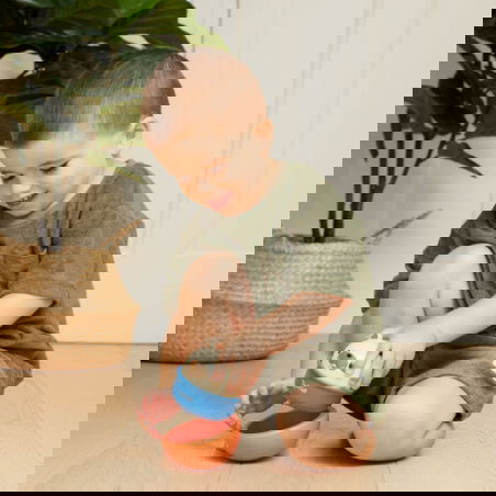 Rocking rollers | Chien - Tiger Tribe