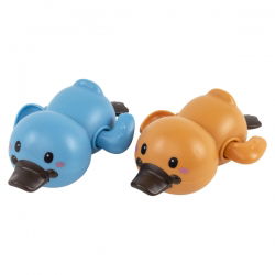 Duo de canards