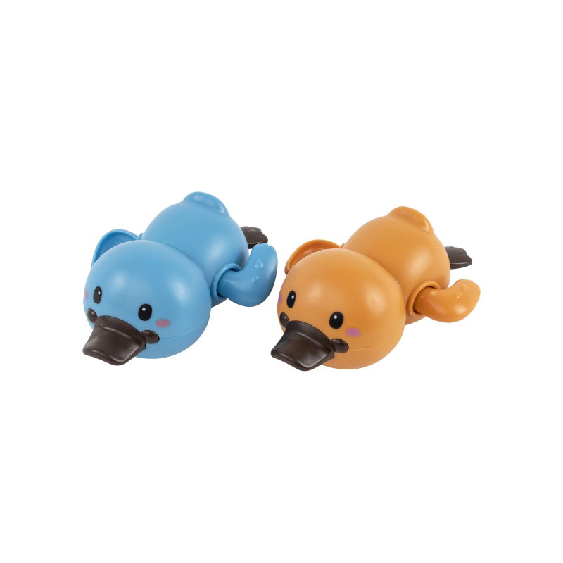 Duo de canards