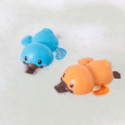 Duo de canards