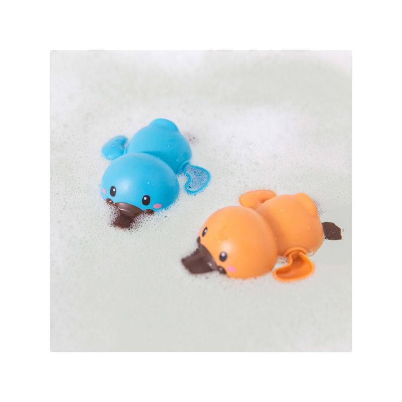 Duo de canards