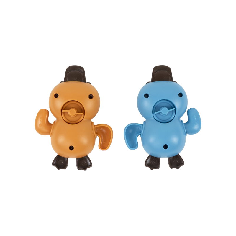 Duo de canards