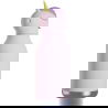 Gourde isotherme | Licorne - asobu