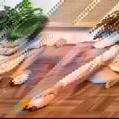 HOOTNEE 30 Pièces à Tirer Arrière Cartoon De Voitures