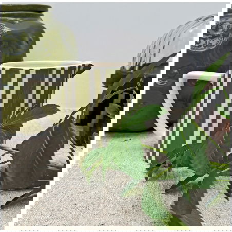 Pichet rayure PM | Kaki - Opjet