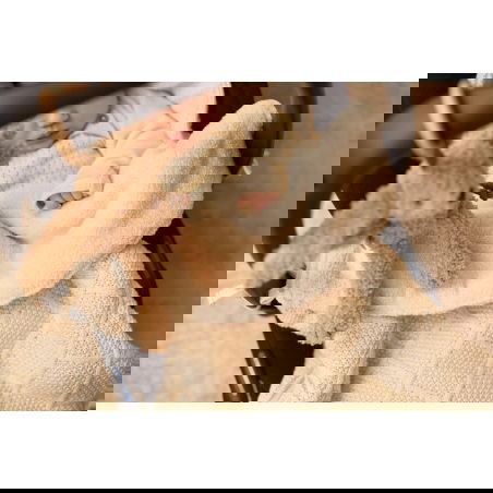 Jouet d'activités | Bunny riverside (copie)