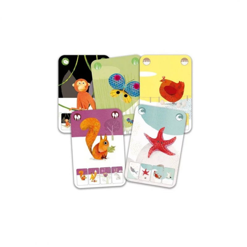 Jeu de cartes | Mini nature