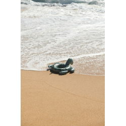 Bouée Phoebe | Tortue