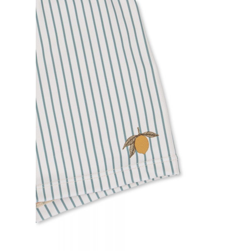 Short de bain Aster | Tea stripe