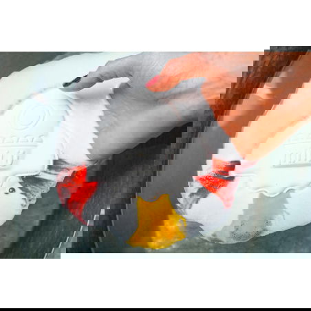 Bombe de bain | Fusée - Mini ü