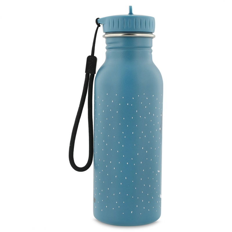 Gourde 500 ml | Mr Triceratops