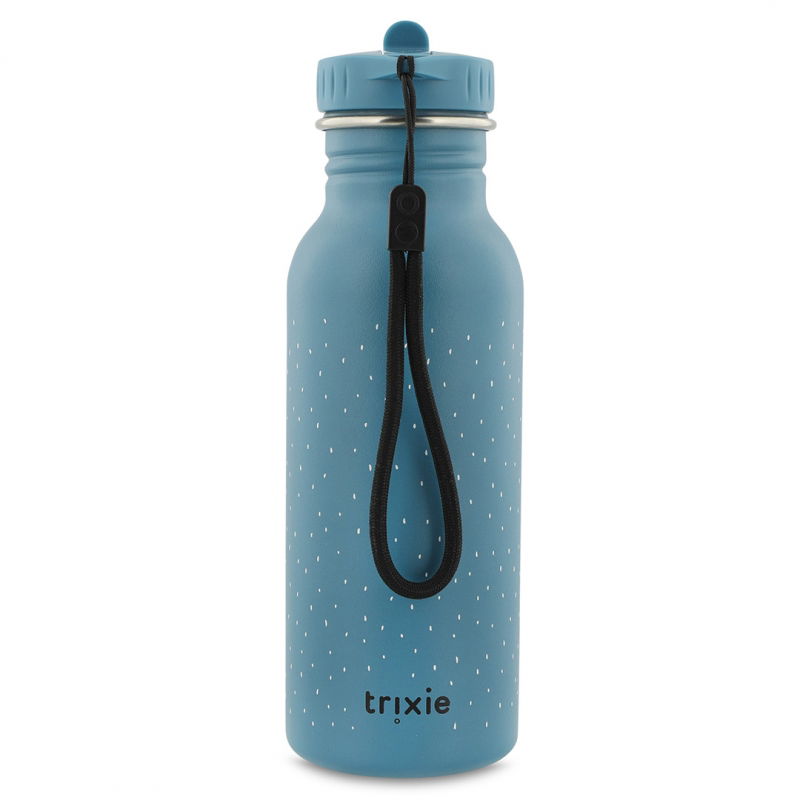 Gourde 500 ml | Mr Triceratops