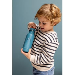 Gourde 500 ml | Mr Triceratops