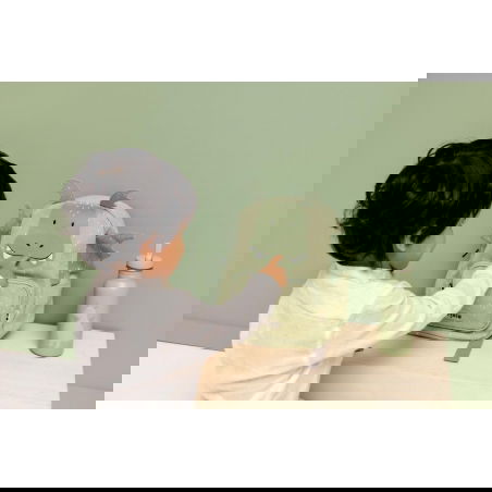 Gourde 500 ml | Mr Dragon - Trixie