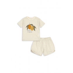 Ensemble Famo | Citron