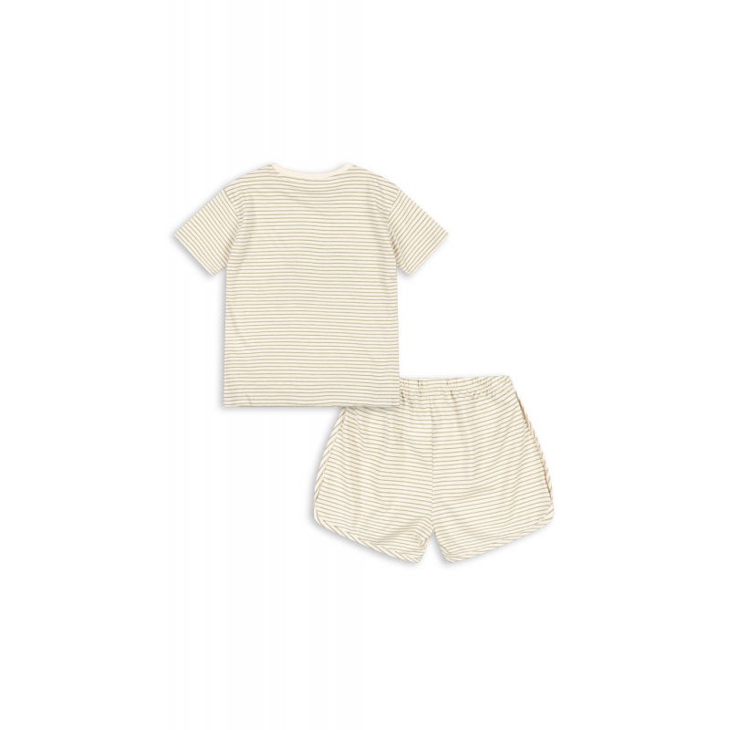 Ensemble Famo | Citron