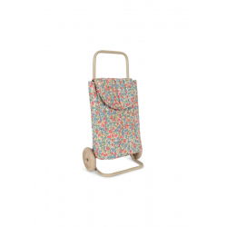 Chariot de courses enfant |...