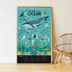 Poster Stickers | Animaux des Océans