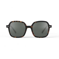 Lunettes de soleil Adulte (O) | Ecailles