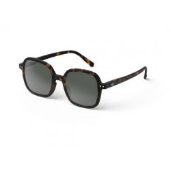 Lunettes de soleil Adulte (O) | Ecailles