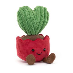 Cactus coeur Kerrii