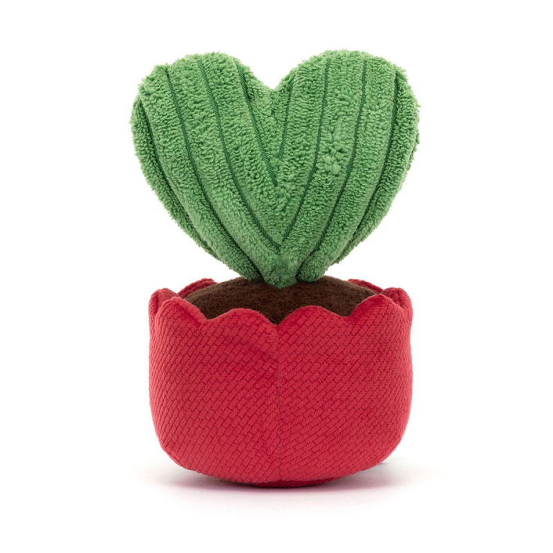 Cactus coeur Kerrii