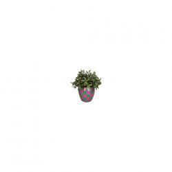 Vase damier rose et vert