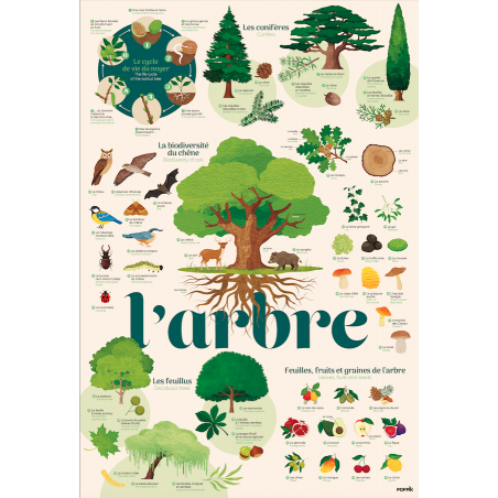 Poster Stickers | L'arbre - Poppik