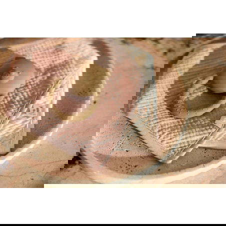 2 bavoirs bandana éponge | Wild rose - Jollein