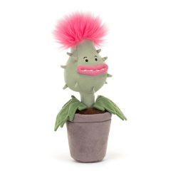 Priscilla la plante carnivore