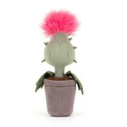 Priscilla la plante carnivore