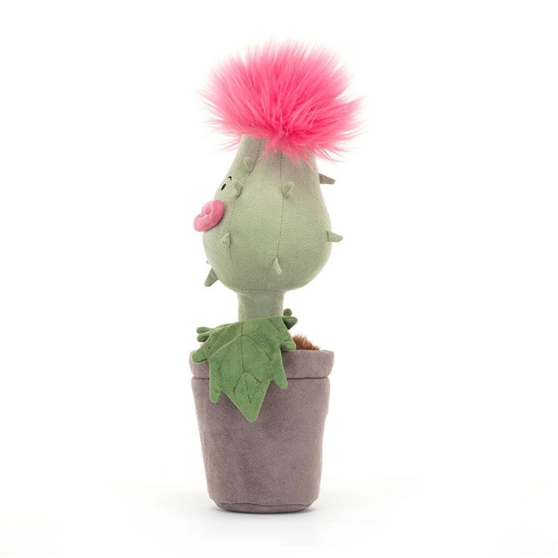 Priscilla la plante carnivore