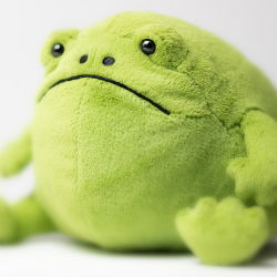 Ricky Rain Frog Medium
