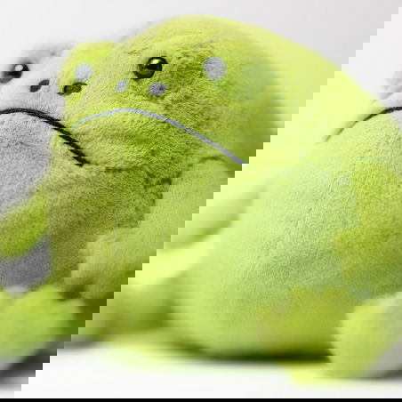 Ricky Rain Frog Ricky Rain Frog