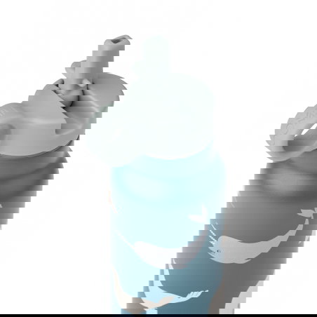 Gourde Falk inox 350 ml | Arctic Sea Ocean