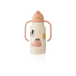 Gourde kimmie inox 250 ml |  Cats and Dogs