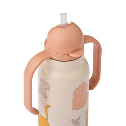 Gourde kimmie inox 250 ml |  Cats and Dogs