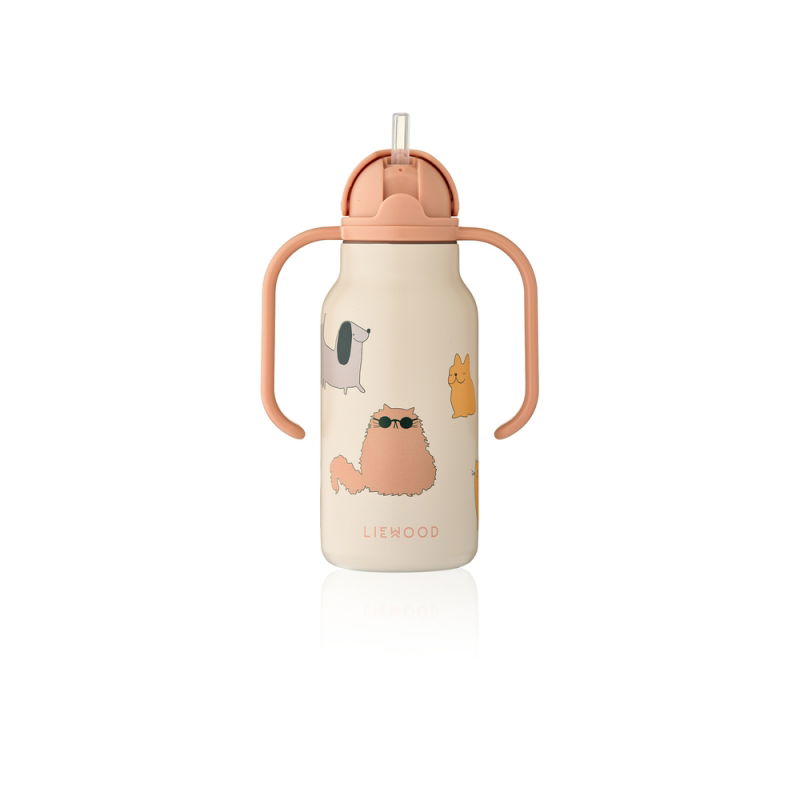 Gourde kimmie inox 250 ml |  Cats and Dogs