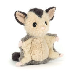 L'écureuil volant Lolly Sugar Glider